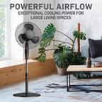 Holmes® 16-Inch 3-Speed Manual Stand Fan with Adjustable Height and Metal Grill, Black