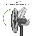 Holmes® 16-Inch 3-Speed Manual Stand Fan with Adjustable Height and Metal Grill, Black