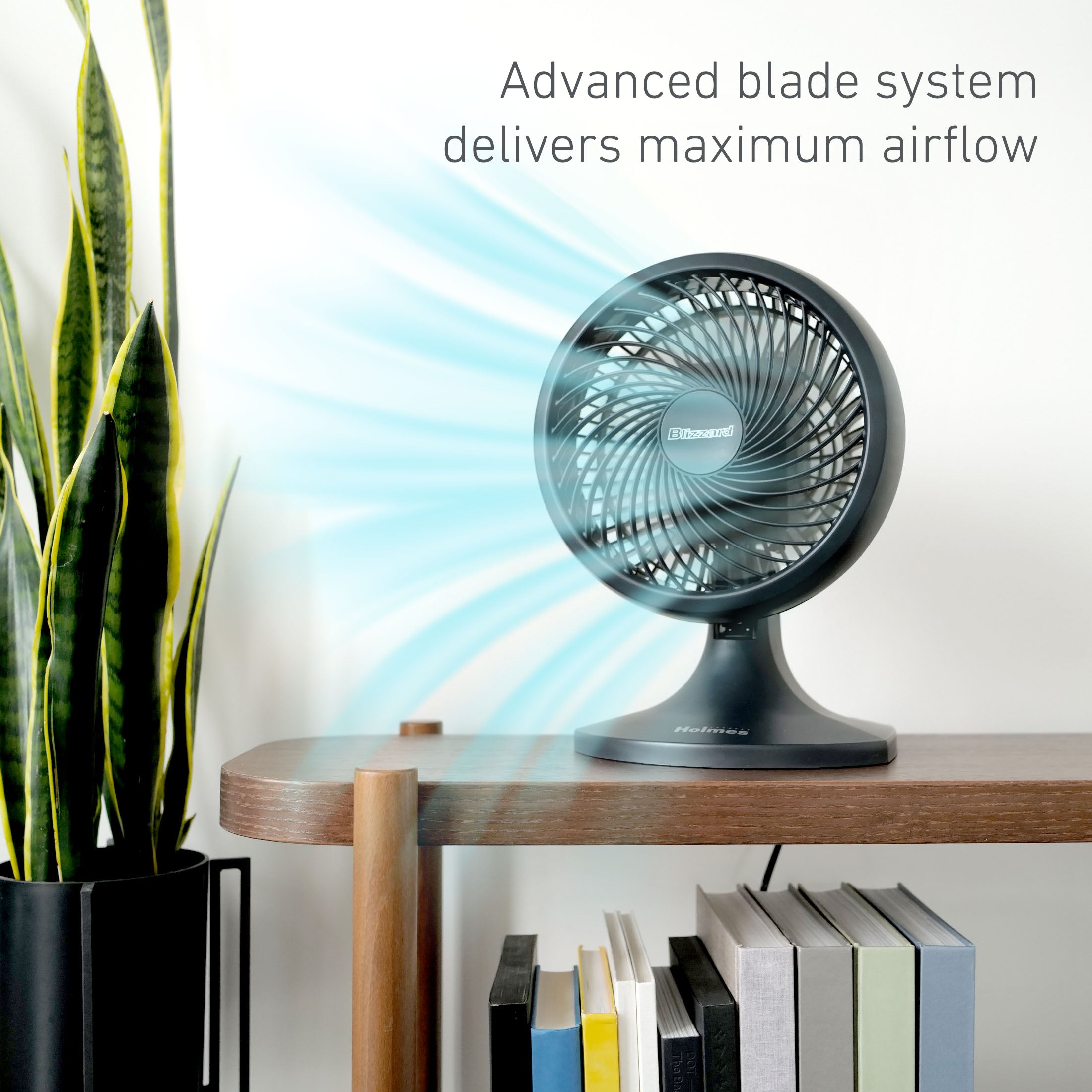 Holmes Blizzard 9" Table Fan, 3-Speed, Oscillating, Wall Mountable, Adjustable Head, Charcoal
