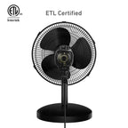 Holmes 12” Table Fan, 3 Speeds, 75° Oscillation, 15° Adjustable Tilt, Quiet Operation