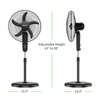 Holmes 18 Inch Oscillating Stand Fan 3 Speed Powerful Airflow Adjustable Height 30 Degree Tilt Wide Angle