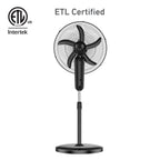 Holmes 18 Inch Oscillating Stand Fan 3 Speed Powerful Airflow Adjustable Height 30 Degree Tilt Wide Angle
