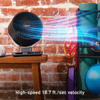 Holmes Blizzard 8" Digital 3-Speed Air Circulator Fan with Capacitive Touch and Remote Control Black