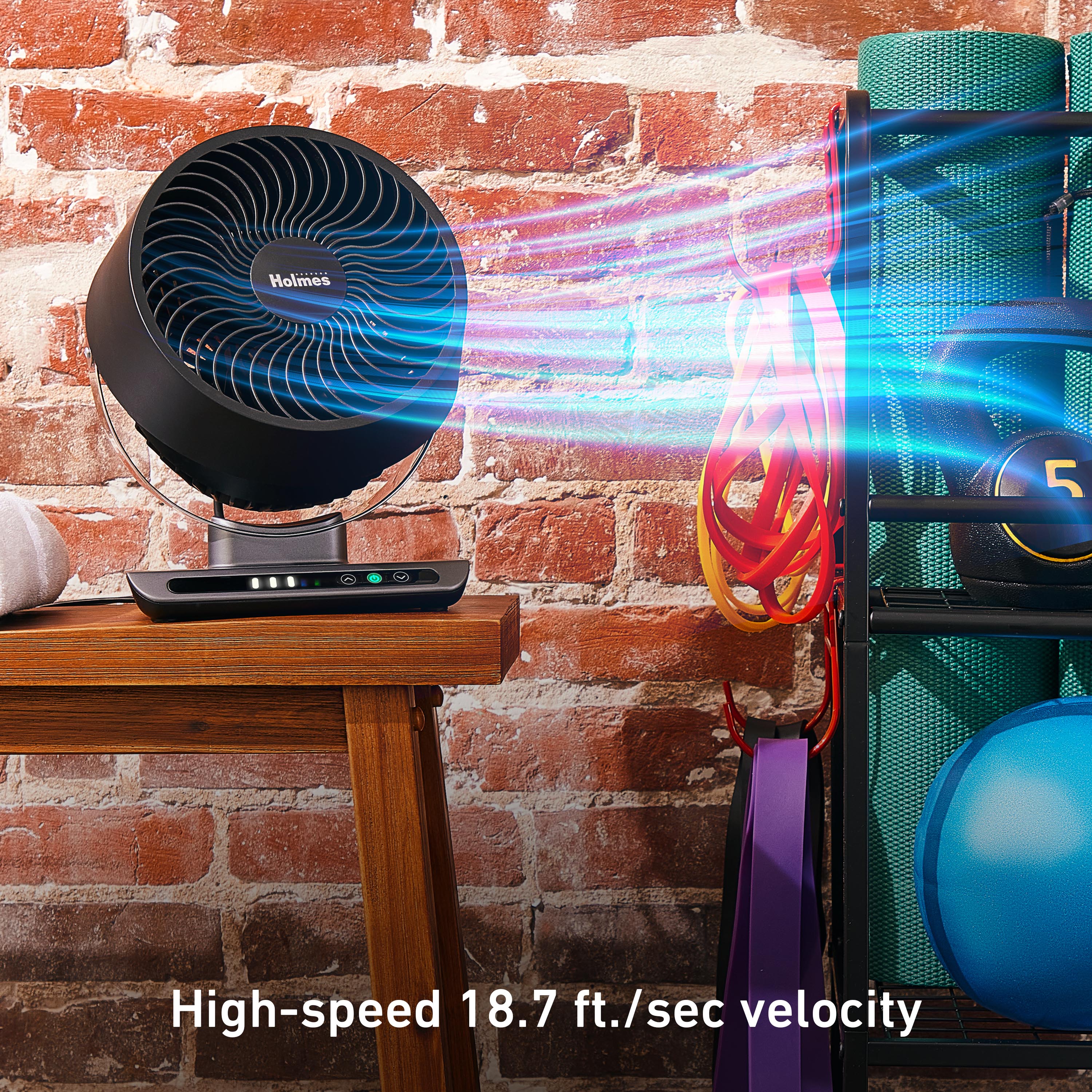 Holmes Blizzard 8" Digital 3-Speed Air Circulator Fan with Capacitive Touch and Remote Control Black
