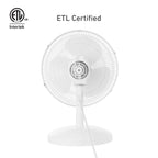 Holmes 12” Table Fan, 3 Speeds, 75° Oscillation, 15° Adjustable Tilt, Quiet Operation