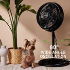 Holmes 16" Outdoor Misting Stand Fan – 3 Speeds, 3 Mist Settings, Adjustable Height & Head Tilt, Hose Connection, Black