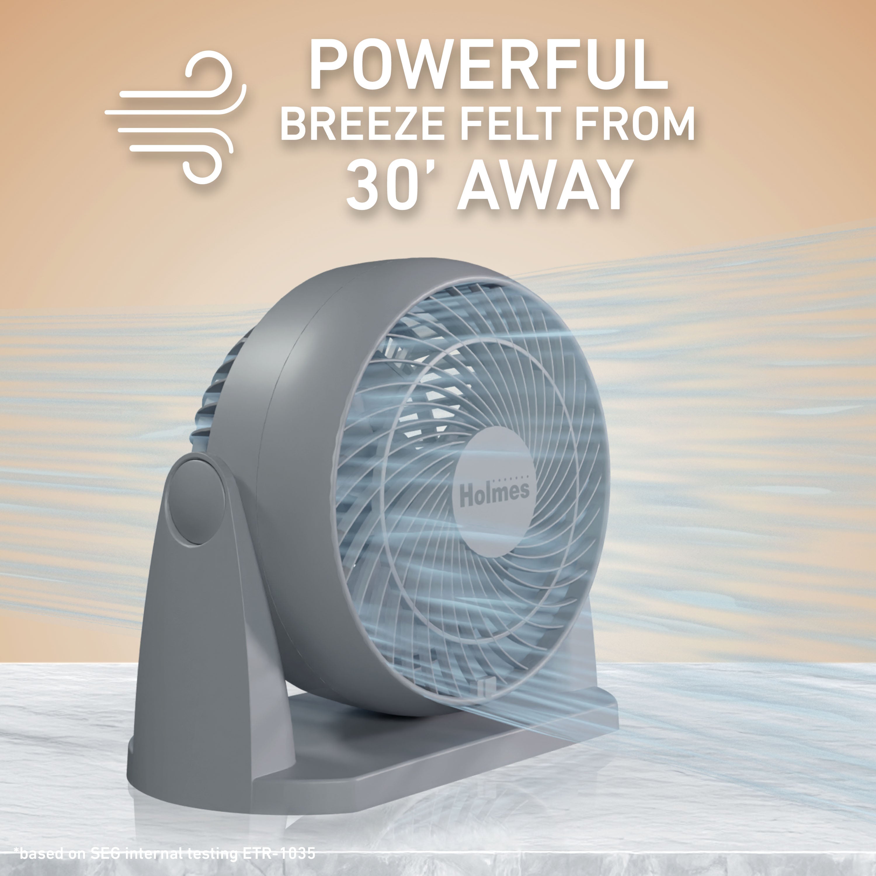 Holmes Blizzard 8 Inch Air Circulator Fan 3 Speed High Velocity Table Desk Fan