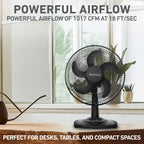 Holmes 12" TableBreeze Oscillating Table Fan 3 Speeds Black