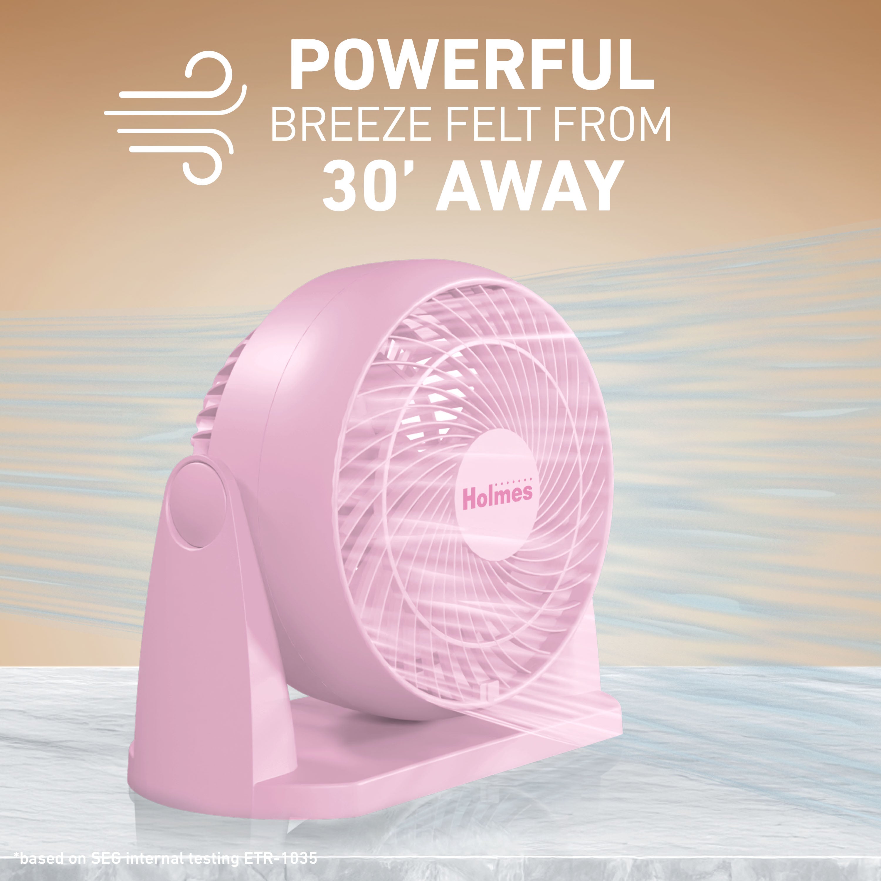 Holmes Blizzard 8 Inch Air Circulator Fan 3 Speed High Velocity Table Desk Fan