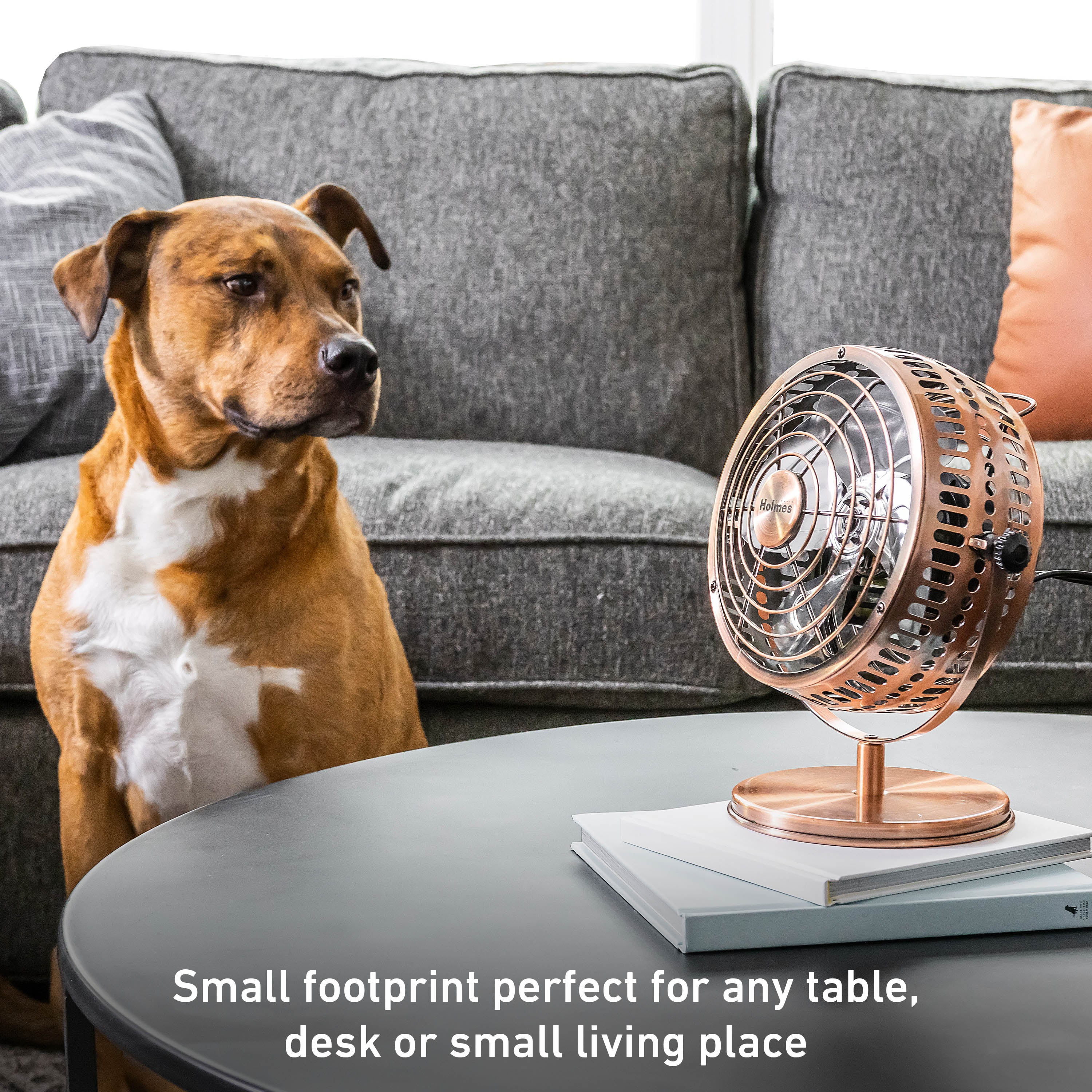 Holmes 6" Heritage Table Fan